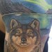 tattoo galleries/ - detail of a artic wolf in a northern lights scene